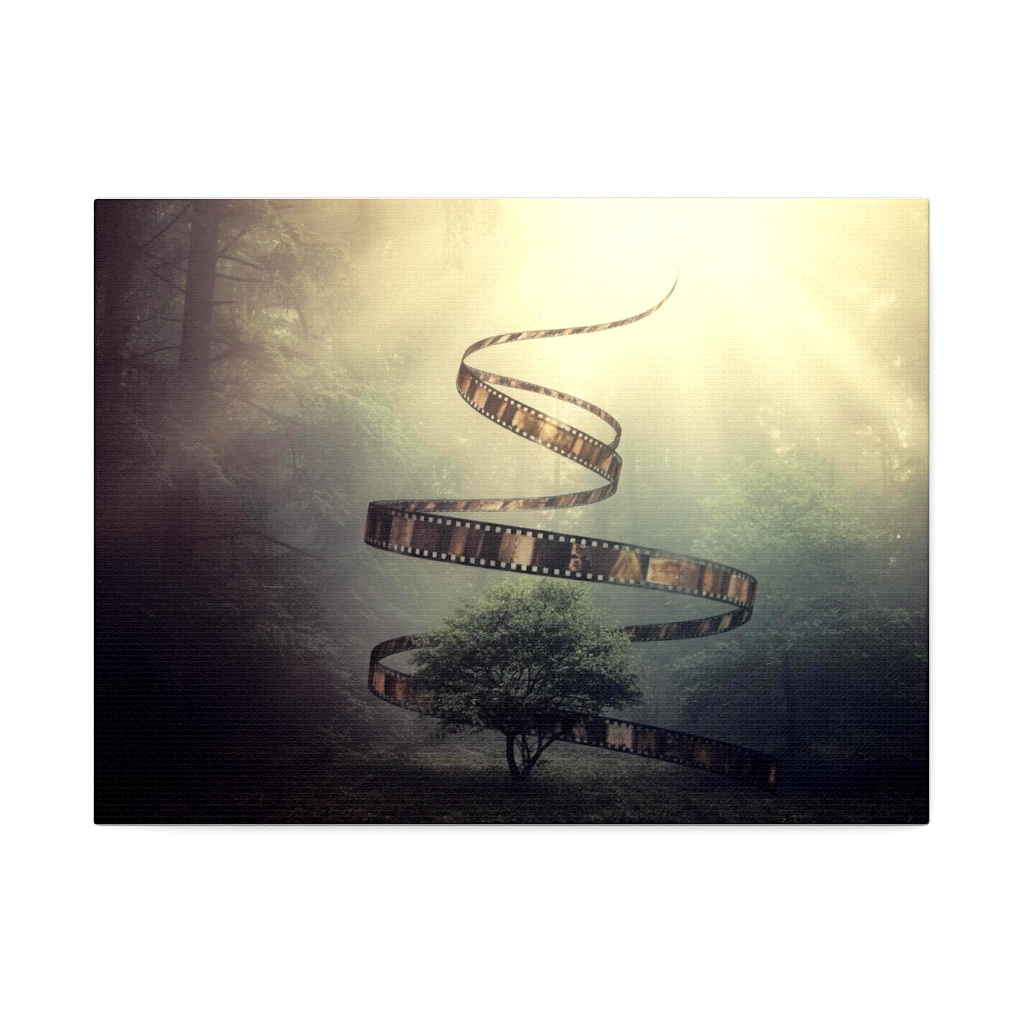 Film Reel Spiral Over Tree Canvas