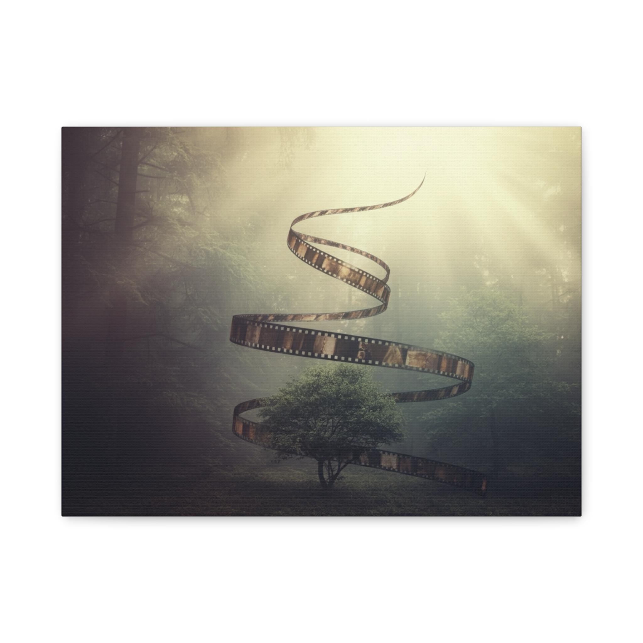 Film Reel Spiral Over Tree Canvas